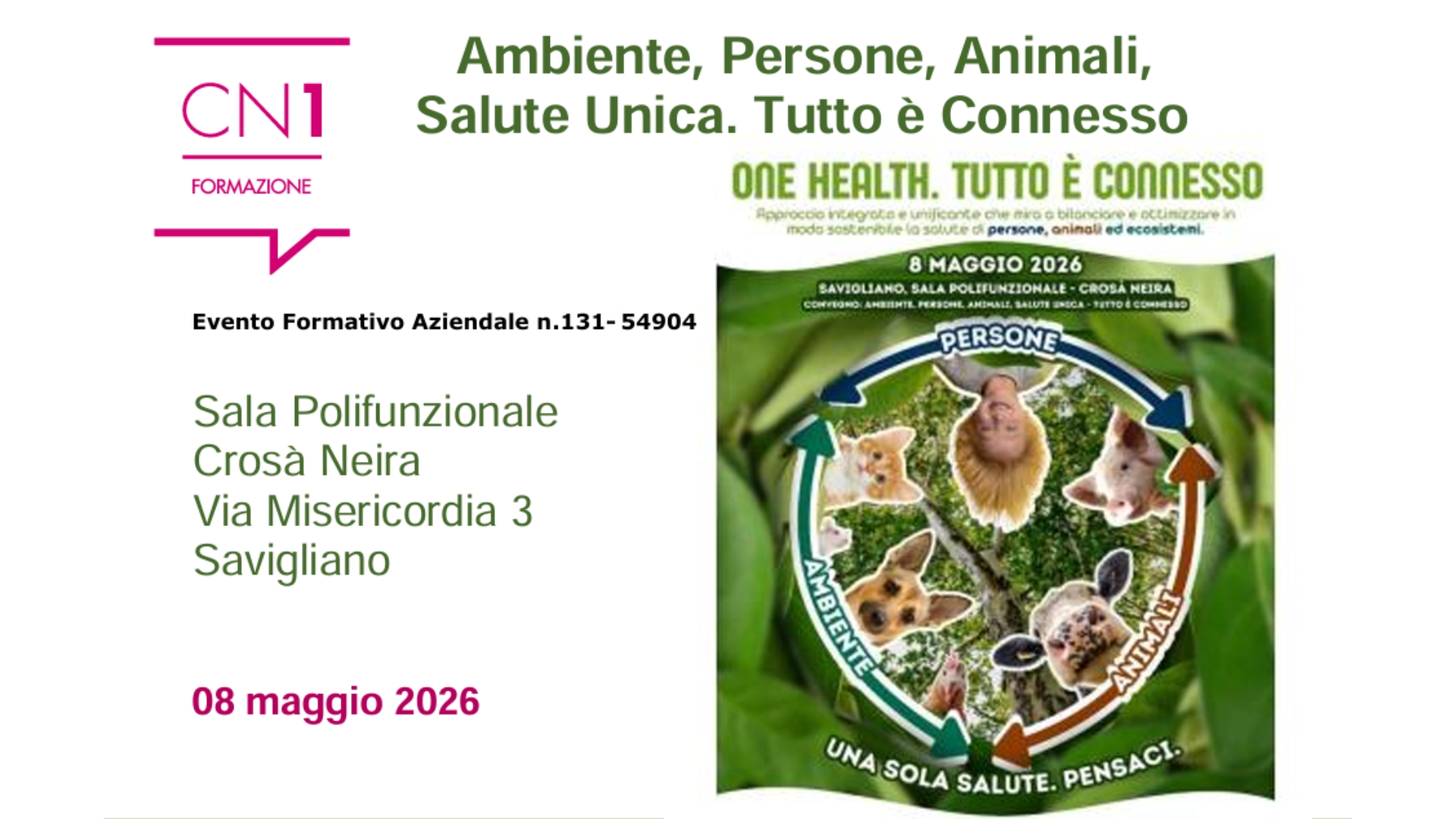 Clicca per accedere all'articolo Convegno ECM “Ambiente, Persone, Animali, Salute Unica. Tutto è Connesso”